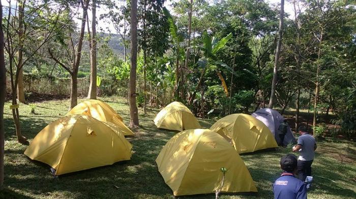 Camping ground di arboretum