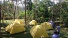 Camping ground di arboretum